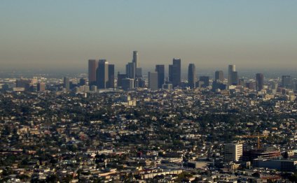 Olympic Staffing Services